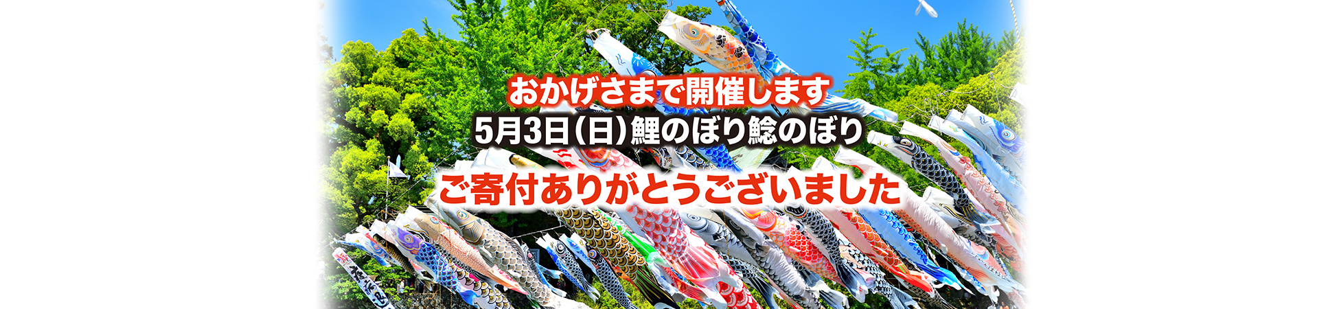 おかげさまで開催します　2026年5月3日(日)鯉のぼり鯉のぼり　ご寄付ありがとうございました